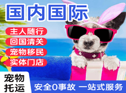 海拉尔航空快递国际宠物托运 【国